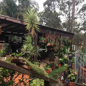 Meet your Posher, Tolinh